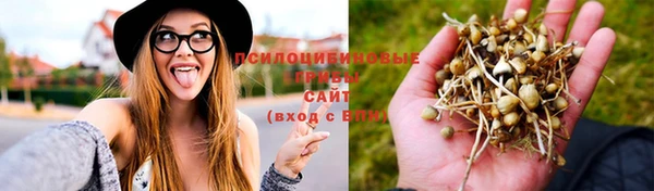 гидра Абдулино