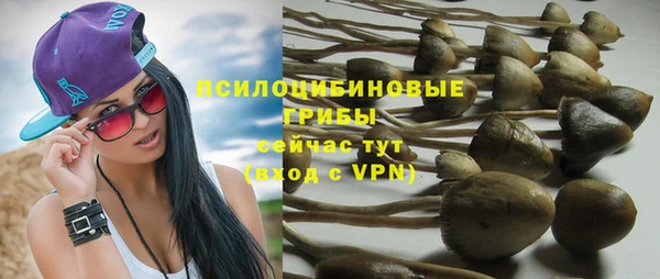 каннабис Абаза