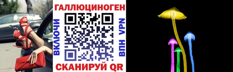 Галлюциногенные грибы MAGIC MUSHROOMS  хочу наркоту  гидра ССЫЛКА  Ярославль 