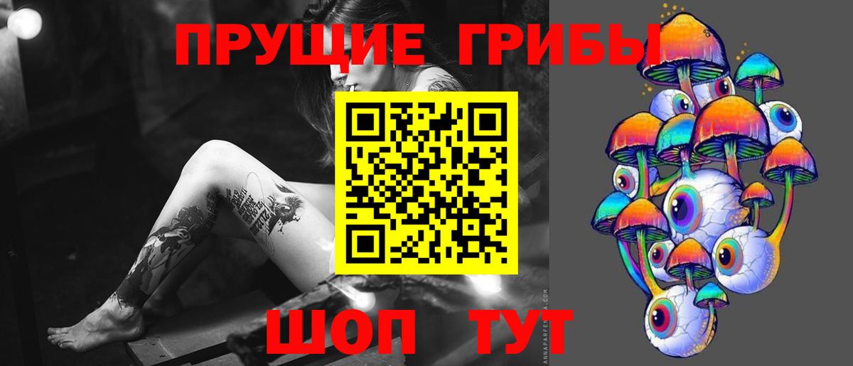 Ярославль  Галлюциногенные грибы MAGIC MUSHROOMS  Вход с VPN 