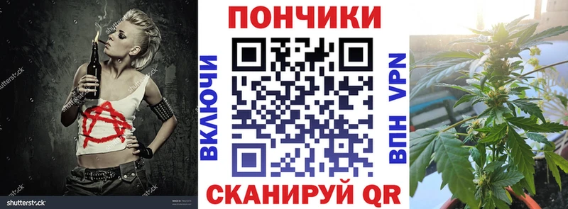 магазин    Ярославль  Канабис OG Kush 